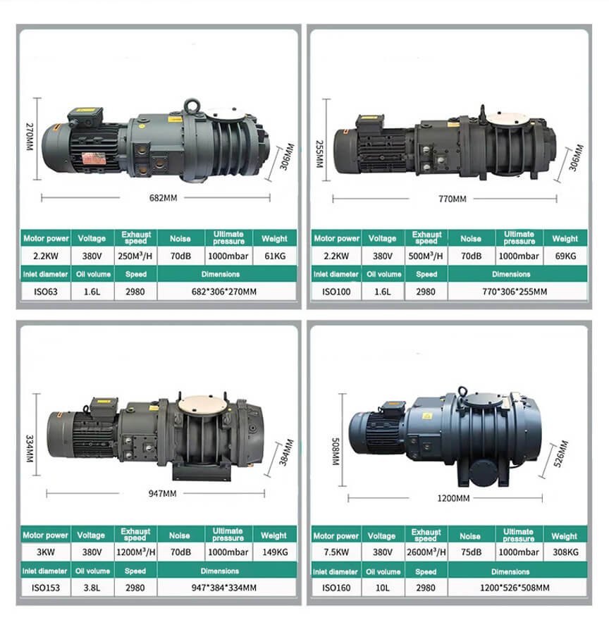 Roots-vacuum-pump-info2